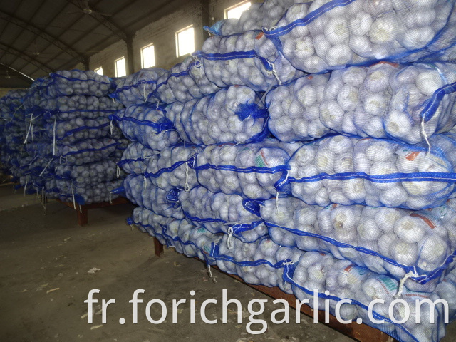 Fresh High Quality Normal White Garlic 2019